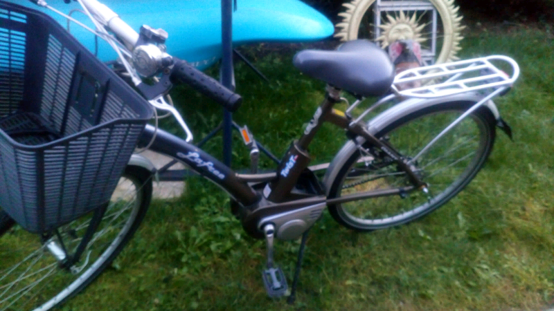 giant lite electric bike
